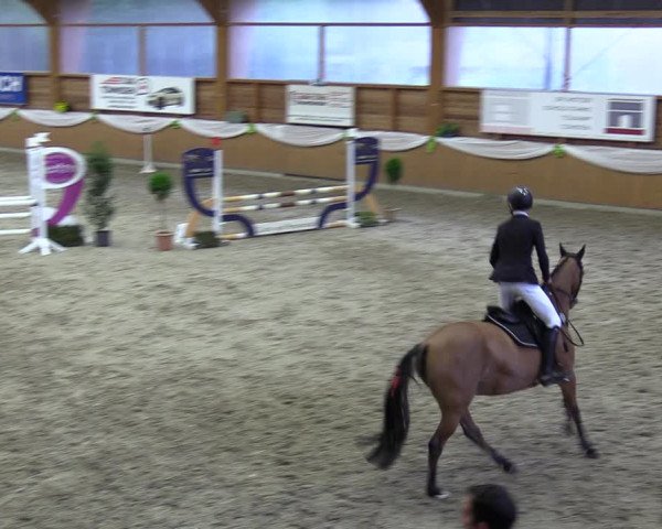 Reitturnier Xanten - Reitanlage Miss 2023