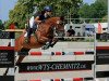 jumper Golden Empress (German Riding Pony, 2007, from Kaiserstolz)