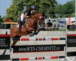 Springpferd Golden Empress (Deutsches Reitpony, 2007, von Kaiserstolz)