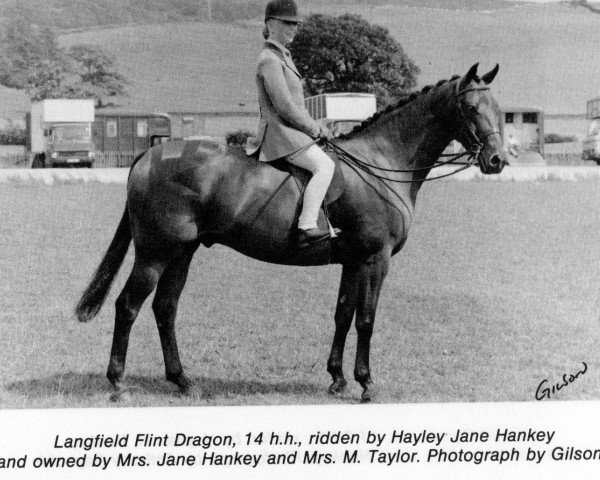 horse Langfield Flint Dragon (Welsh-Pony (Section B), 1984, from Gunnerby Hallmark)