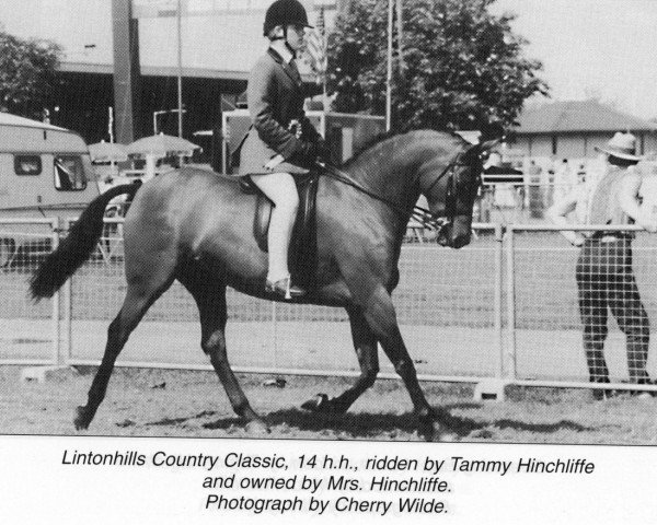 Zuchtstute Lintonhills Country Classic (British Riding Pony, 1989, von Vean Stormcock)