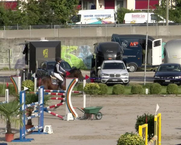 Reitturnier Basel/Schänzli 2023
