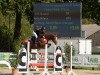 jumper Nussini (German Riding Pony, 2015, from Heidbergs Nancho Nova)