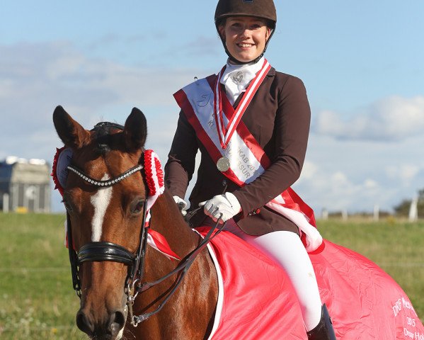 horse Chantal Skovvang (Danish Warmblood, 2006, from Michellino)