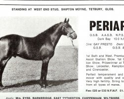 horse Periapt AA (Anglo-Arabs, 1965, from Gay Presto xx)