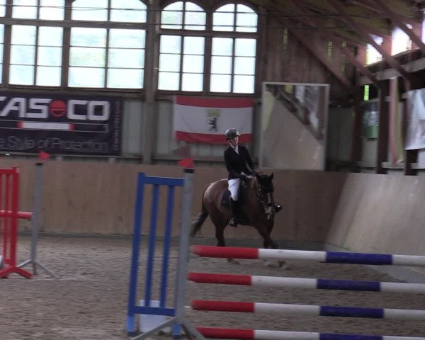 Reitturnier Elisenau 2023