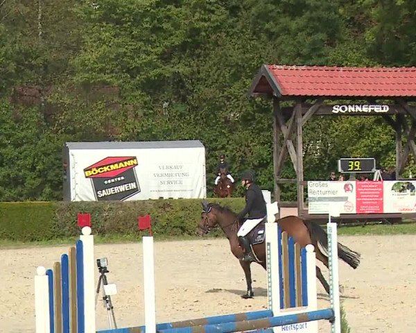 Reitturnier Frankenhof-Sonnefeld/Ofr. 2023