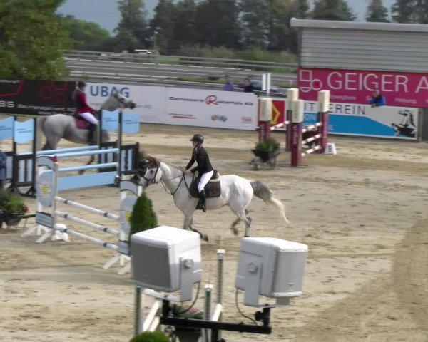 Reitturnier Wädenswil 2023