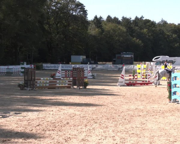 Reitturnier Ranshofen - Braunau am Inn 2023