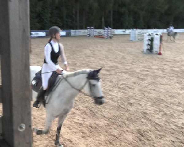Reitturnier Ranshofen - Braunau am Inn 2023