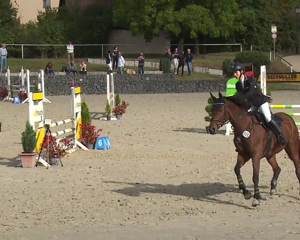 Reitturnier Frankenhof-Sonnefeld/Ofr. 2023