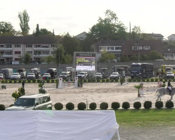 Reitturnier Basel/Schänzli 2023
