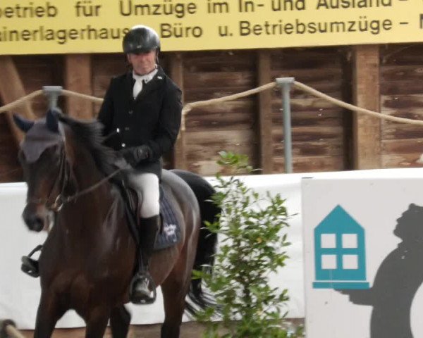 Reitturnier Böblingen 2023