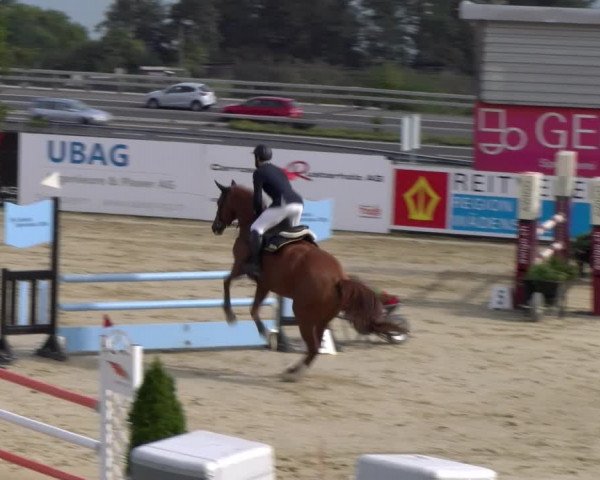 Reitturnier Wädenswil 2023