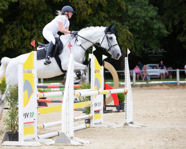 jumper Gaelle van Herent (Belgian Warmblood, 2006, from Wandor van de Mispelaere D'10)