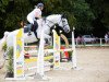 jumper Gaelle van Herent (Belgian Warmblood, 2006, from Wandor van de Mispelaere D'10)