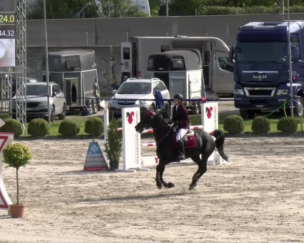 Reitturnier Basel/Schänzli 2023