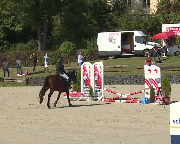 Reitturnier Frankenhof-Sonnefeld/Ofr. 2023