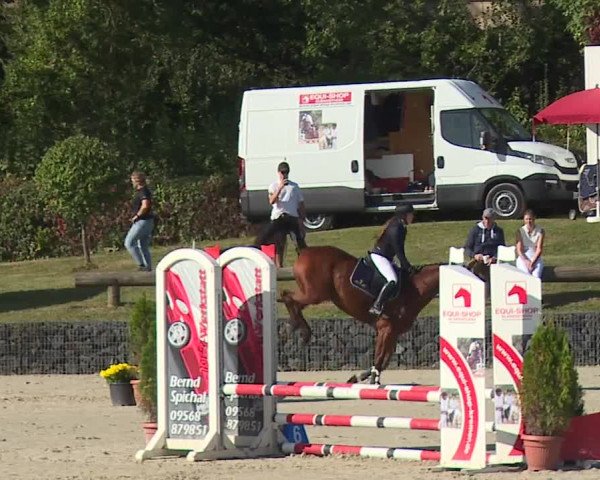 Reitturnier Frankenhof-Sonnefeld/Ofr. 2023