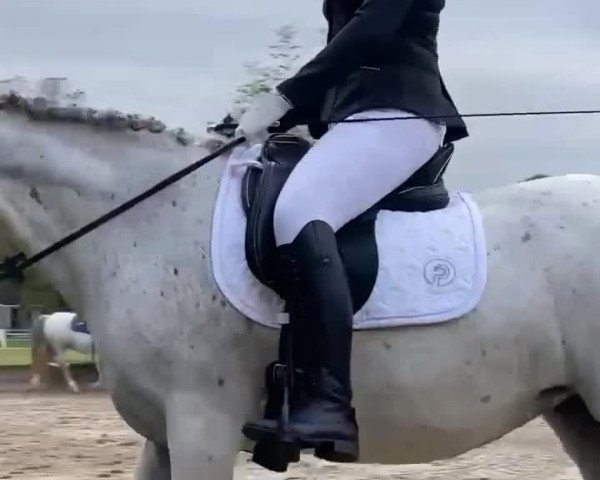 Video of Cheers to Chica