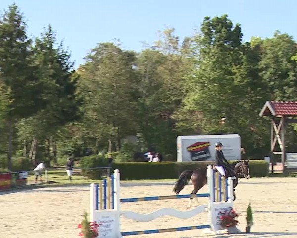 Reitturnier Frankenhof-Sonnefeld/Ofr. 2023