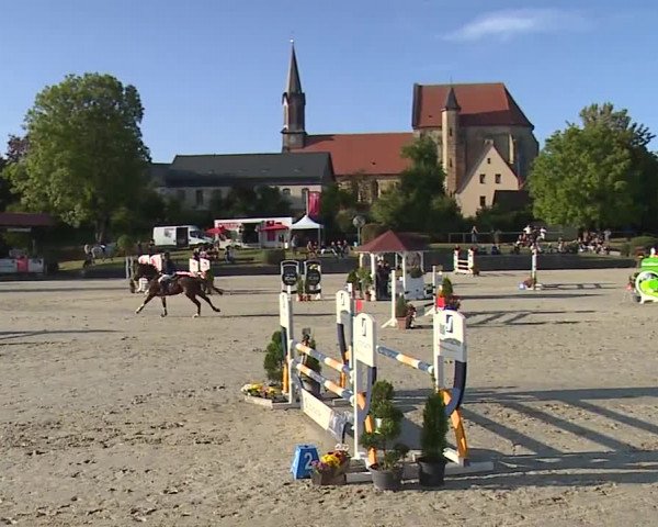 Reitturnier Frankenhof-Sonnefeld/Ofr. 2023