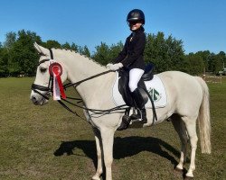 dressage horse Cedric (German Riding Pony, 2005, from FS Champion de Luxe)