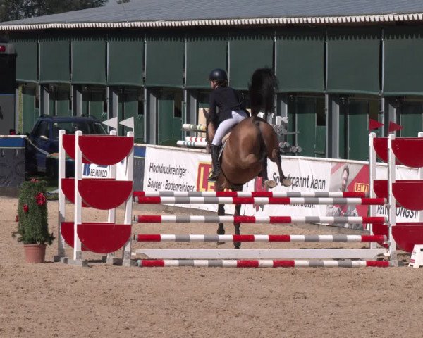 Reitturnier Ranshofen - Braunau am Inn 2023