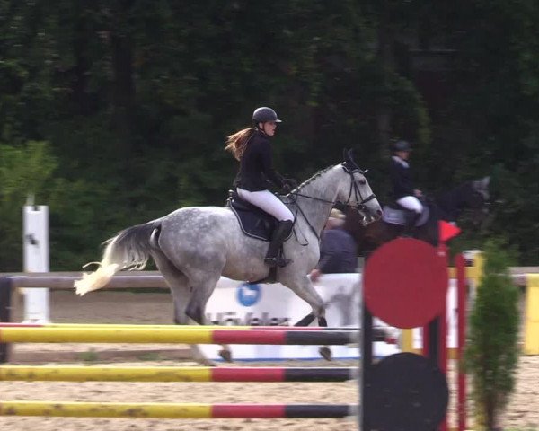 Reitturnier Albersdorf Dithmarsenpark 2021