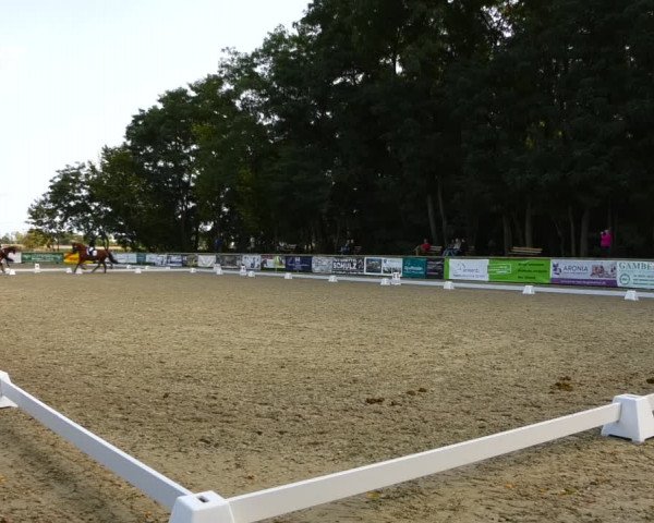 Reitturnier Ruhlsdorf 2023