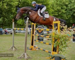 jumper Galathea 22 (Hanoverian, 2014, from Grey Top)