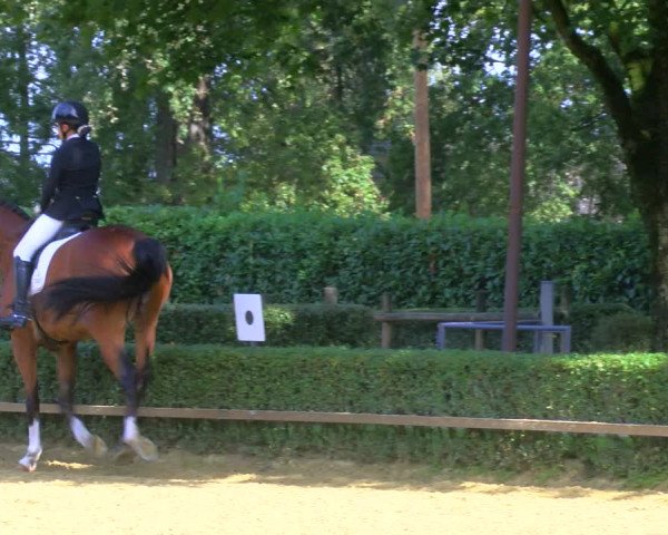 Reitturnier Bottrop-Kirchhellen 2023