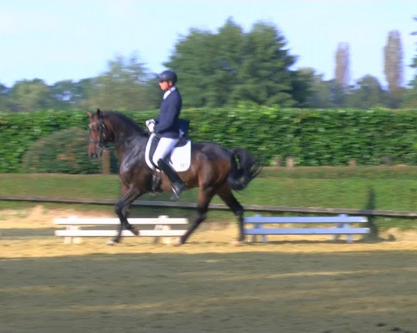 Reitturnier Bottrop-Kirchhellen 2023