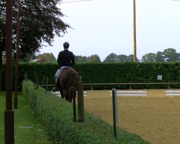 Reitturnier Bottrop-Kirchhellen 2023