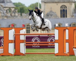 jumper Pegasus Deau Re Mi (Zangersheide riding horse, 2011, from Deauville van T&L)