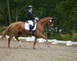 dressage horse La Petite Lulu (Hanoverian, 2015, from Londontime)