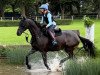 dressage horse Kisango (Trakehner, 2014, from Tarison)