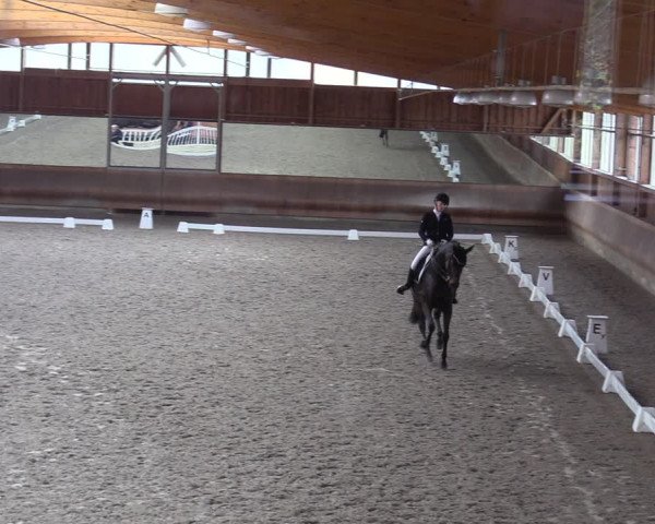 Dressurturnier mit Hallenchampionat Tremsdorf, Eichenhof 2021