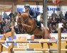 jumper Salvador V (KWPN (Royal Dutch Sporthorse), 1999, from Sable Rose)