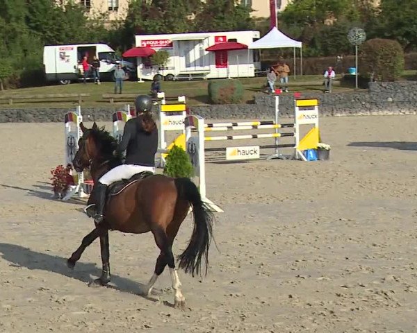 Reitturnier Frankenhof-Sonnefeld/Ofr. 2023