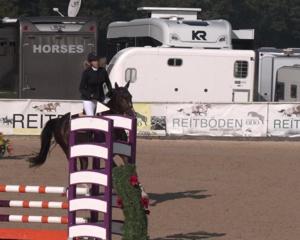 Reitturnier Ranshofen - Braunau am Inn 2023
