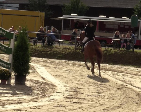 Reitturnier Dortmund-Barop 2021