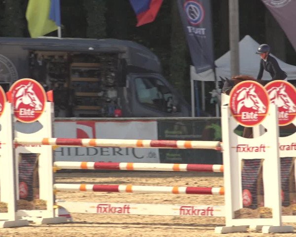 Reitturnier Ranshofen - Braunau am Inn 2023