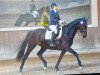 dressage horse Debby Johns (Hanoverian, 2010, from Dancier)