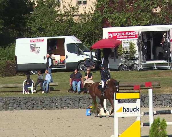 Reitturnier Frankenhof-Sonnefeld/Ofr. 2023