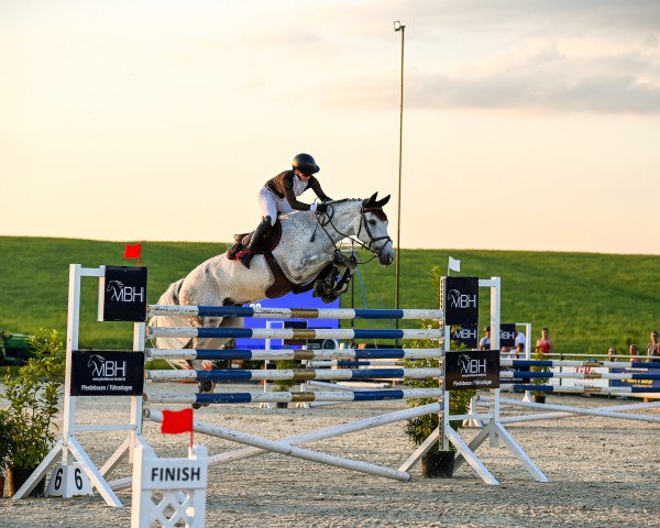jumper Can Fly 18 (Oldenburg show jumper, 2010, from Contagio)