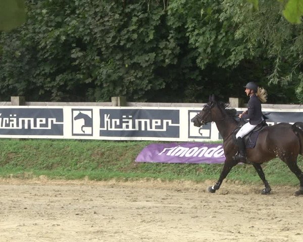 Springturnier Walldorf/Winterheck 2021