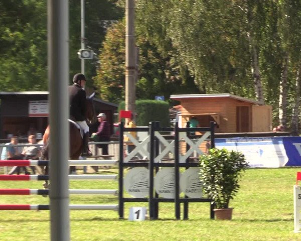 Reitturnier Röhrsdorf/ Chemnitz 2023