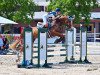 jumper Sammie Gold (Hanoverian, 2016, from Stanley)