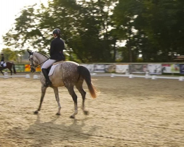 Reitturnier Ruhlsdorf 2023